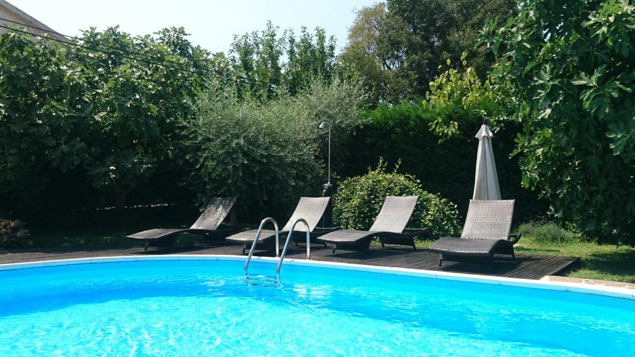 Apartman Ester *